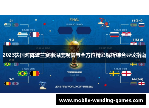 2023法国对阵波兰赛事深度观赏与全方位精彩解析综合导读指南 2023法国对阵波兰赛事深度观赏与全方位精彩解析综合导读指南