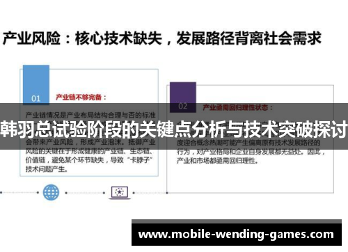 韩羽总试验阶段的关键点分析与技术突破探讨