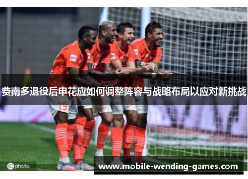 费南多退役后申花应如何调整阵容与战略布局以应对新挑战