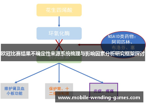 欧冠比赛结果不确定性来源系统梳理与影响因素分析研究框架探讨 欧冠比赛结果不确定性来源系统梳理与影响因素分析研究框架探讨