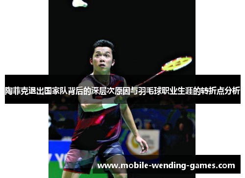 陶菲克退出国家队背后的深层次原因与羽毛球职业生涯的转折点分析 陶菲克退出国家队背后的深层次原因与羽毛球职业生涯的转折点分析